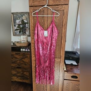 H&M hot pink sequin fringe dress, Size XL, NWT